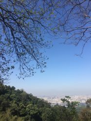 点击看大图 -国颐堂养发SPA馆