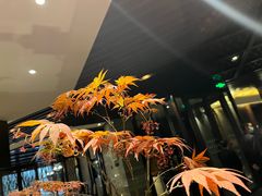 -南堂館川菜文化餐厅(天府店)