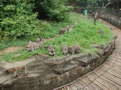-宁波野生动物园