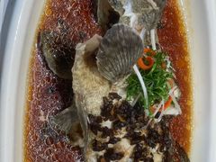 -老绍兴养和饭店(向阳不夜城店)