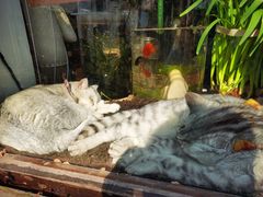 -小河直街历史文化街区