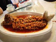 松鼠桂鱼-乾园(天河城店)