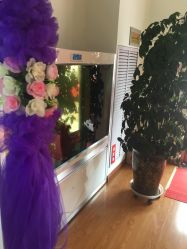 -苗方清颜专业祛痘养生