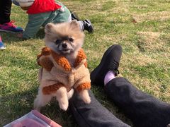 -艾溪湖湿地公园