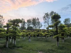 -大鹅岛绿色生态美食园
