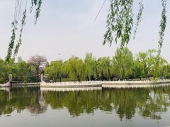 -丰台花园