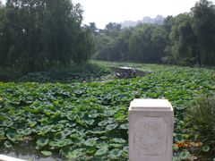 -紫竹院公园冰场