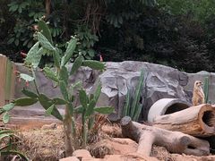 -广州动物园