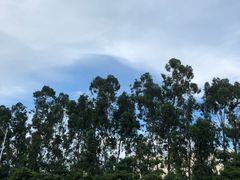 -厦门市大同中学