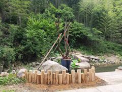 -将军关探险漂流