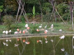 -杭州野生动物世界