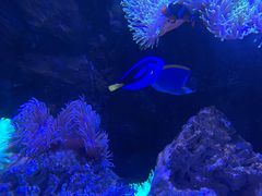 -太平洋海底世界