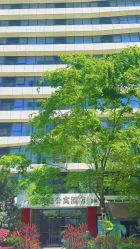 -大美母婴月子中心(馨乐庭店)