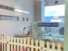 -怪兽屋·羊驼·猫咖·狗咖(俊华广场店)