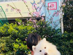 -汪说喵讲宠物乐园宠物酒店(红星美凯龙店)