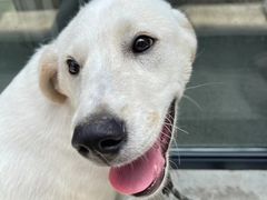 -将军关探险漂流