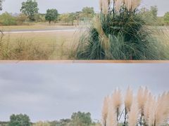 -盘龙城国家考古遗址公园