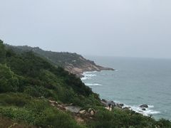 -广东惠东海龟国家级自然保护区