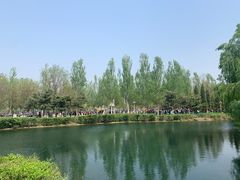 -长白岛森林公园