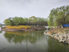 -大兴滨河森林公园