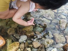 -四明湖