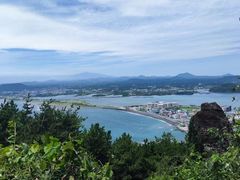 -涉地可支