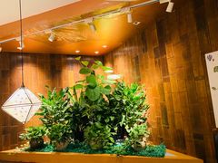 -云海肴·汽锅鸡·云南菜(领展购物广场·中关村店)