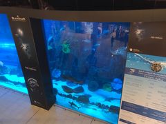 门面-迪拜水族馆及水下动物园