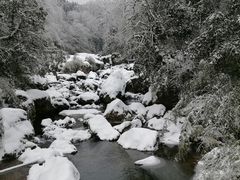-龙苍沟森林公园