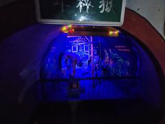 -高庙保安寺