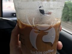 -瑞幸咖啡(艺树家工场店)