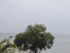 -大理洱海