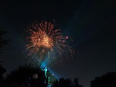-加州迪士尼乐园