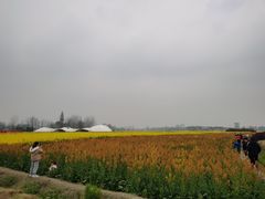 -中国天府农业博览园