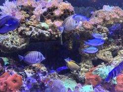 点击看大图 -Zoolung Zoolung动物主题公园(海信广场店)