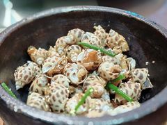 盐焗花螺/斤-猪肉婆私房菜(容桂总店)