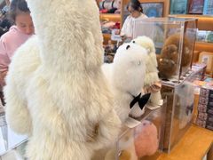 -朵云书院(滴水湖店)