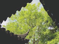 -潘玉麟糖粥
