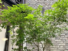 -Eu2+ coffee(上大路店)