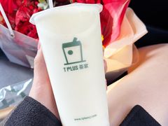 椰芒果果小芋圆-TPLUS茶家(淮海店)