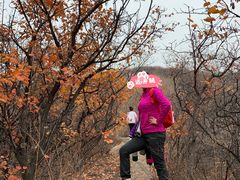 -鬼笑石后山停车场