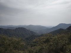 -大岭沟猕猴桃谷风景区