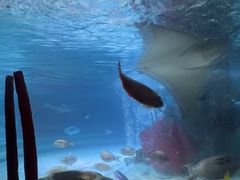 -沈阳海洋探索中心