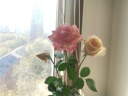 -FineYoga梵音瑜伽·普拉提