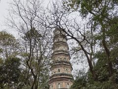 -惠州泗洲塔