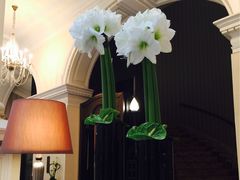 -Salon de Ville浦江汇(上海外滩华尔道夫酒店店)