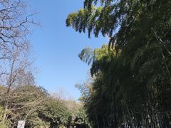 -南北湖风景区