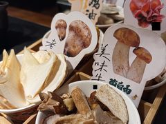-菌自由丨野生菌火锅特色庭院餐厅(丽江古城店)