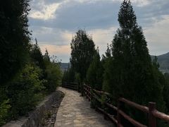 -佛慧山