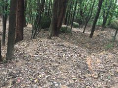-火炉山森林公园